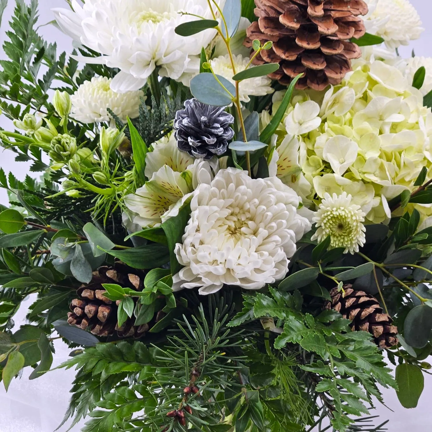 Winter Elegance